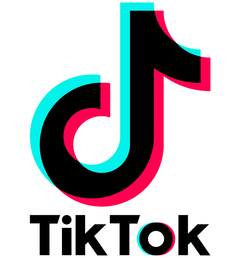 TikTok history is not old, it was started in early September 2016