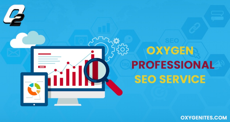 Achieve better Roi Ranking with Professional SEO Services