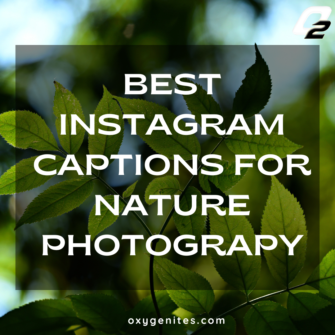 Instagram Account Names For Nature Photography