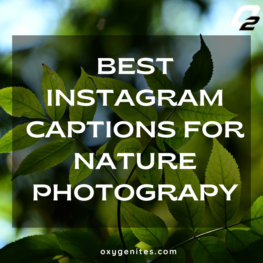 Instagram Captions For Nature Photography Oxygen Ites Pvt Ltd