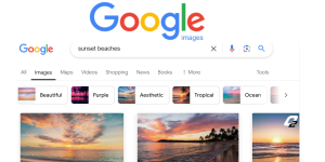 Google Image Search Guide Find Any Picture In Seconds OXYGEN